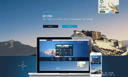 旅游網站開發案例